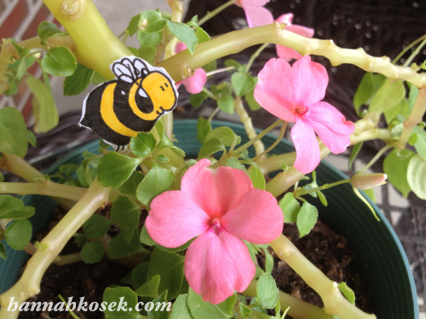 bumblebee-flower